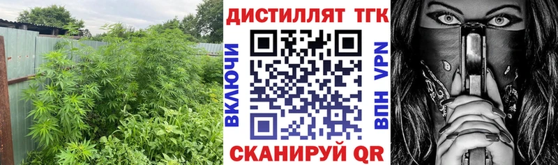 купить  цена  Завитинск  ТГК жижа 