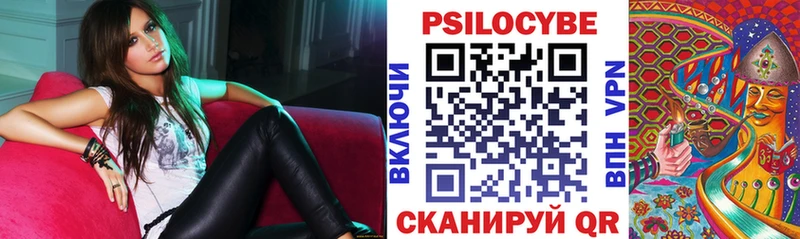 Галлюциногенные грибы Cubensis  Завитинск 